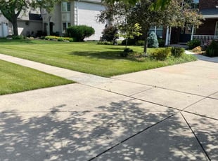 Leeann W.'s lawn service service result