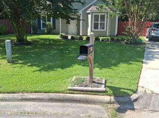 Phyllis D.'s lawn care service result