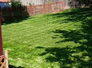 Laura N.'s lawn maintenance service result