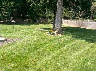 Kyle S.'s lawn maintenance service result