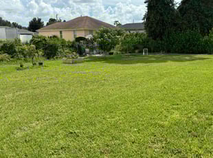 Rebecca M.'s grass cutting service result