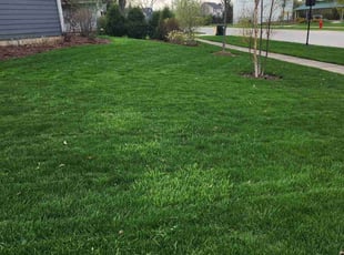 Andrea C.'s turf maintenance service result