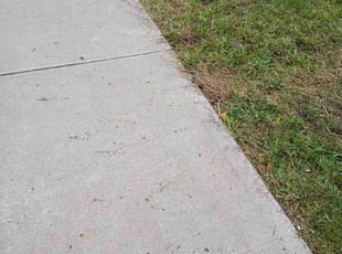 James J.'s lawn care services service result