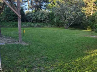 Dan L.'s turf maintenance service result