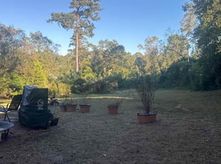 Aysha B.'s lawn service service result