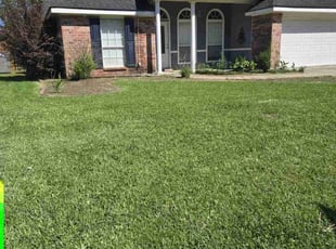 Ebony B.'s turf maintenance service result