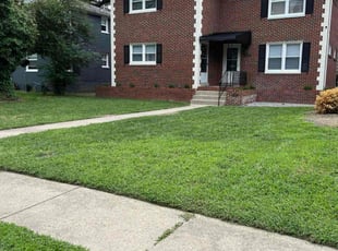 Allesia P.'s landscaping service result
