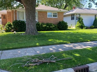 Jerry L.'s grass maintenance service result