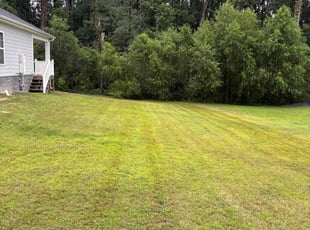 Megan D.'s turf care service result