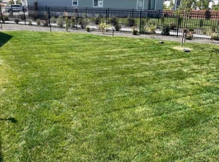 Andrea S.'s turf maintenance service result