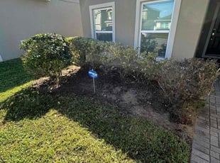 Jim B.'s Bush Trimming service result