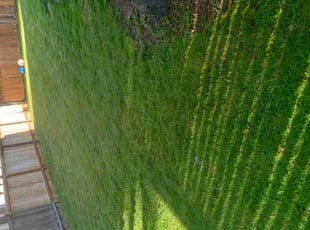 Erica S.'s lawn care services service result