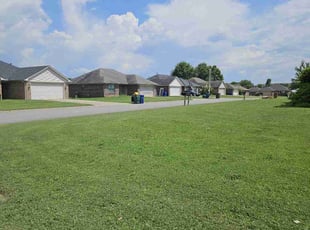 Michael D.'s lawn service service result