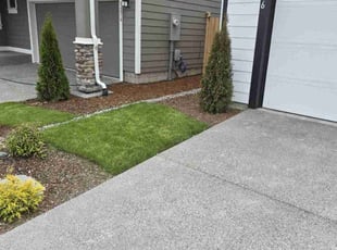 Frank P.'s grass cutting service result