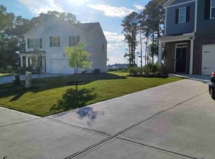 Jason E.'s turf maintenance service result