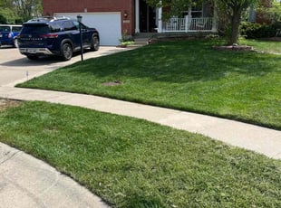 John E.'s grass cutting service result