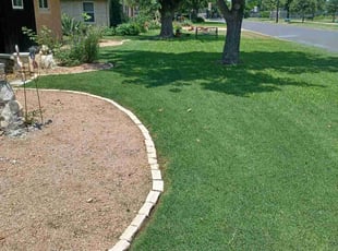 Hannah F.'s turf care service result