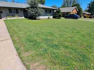 Linda B.'s grass maintenance service result