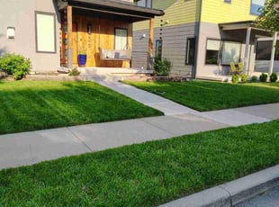 Shannon G.'s lawn care service result