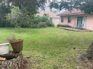 Michael H.'s lawn care services service result