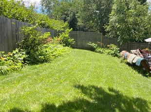 Dominique W.'s lawn care services service result