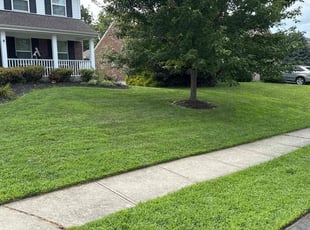 Christopher N.'s Long Grass Cleanup service result