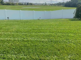 Claretha W.'s turf care service result