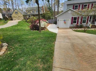 Darnell D.'s turf maintenance service result