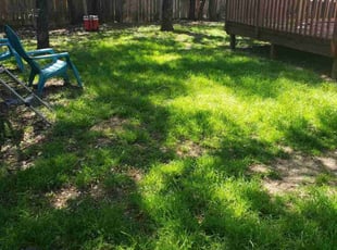 Gregory D.'s lawn service service result