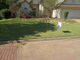Louise B.'s grass cutting service result