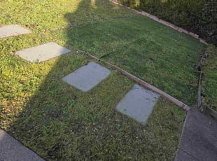 Berkley W.'s turf maintenance service result