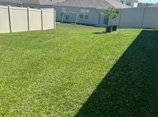 Lynell B.'s lawn maintenance service result