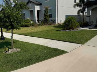 Bulon R.'s lawn service service result
