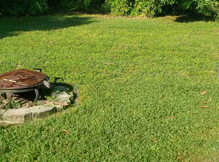 Amber C.'s grass cutting service result