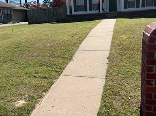 Lauren B.'s grass maintenance service result
