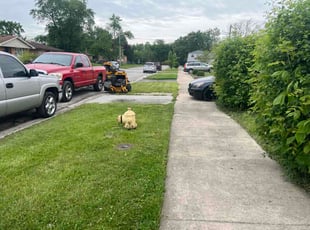 Mj W.'s lawn service service result