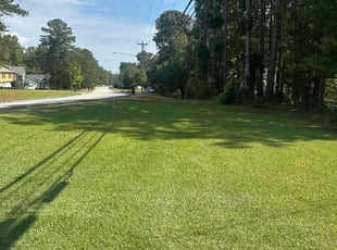 Ruth M.'s lawn care services service result