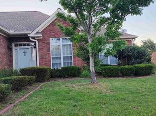 Cindi A.'s Bush Trimming service result