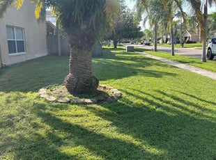 Patricia F.'s grass cutting service result