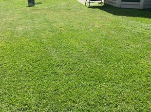 Sharon V.'s lawn care services service result
