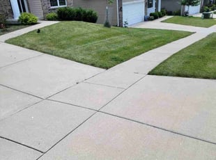 Aaron R.'s grass maintenance service result