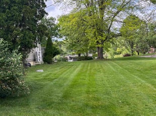 Jeff G.'s lawn maintenance service result