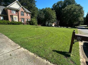 Sloane S.'s lawn care services service result