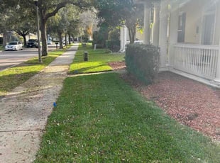 James C.'s grass maintenance service result