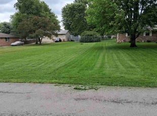 Jared N.'s yard maintenance service result