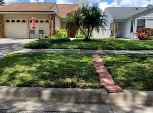 Cathy M.'s lawn service service result