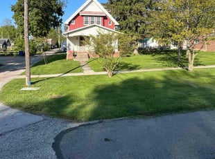 Jaime B.'s grass cutting service result