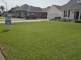 Karen S.'s turf care service result