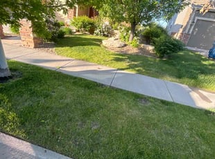 Sara H.'s lawn service service result