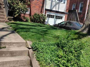 Peter S.'s lawn care service result